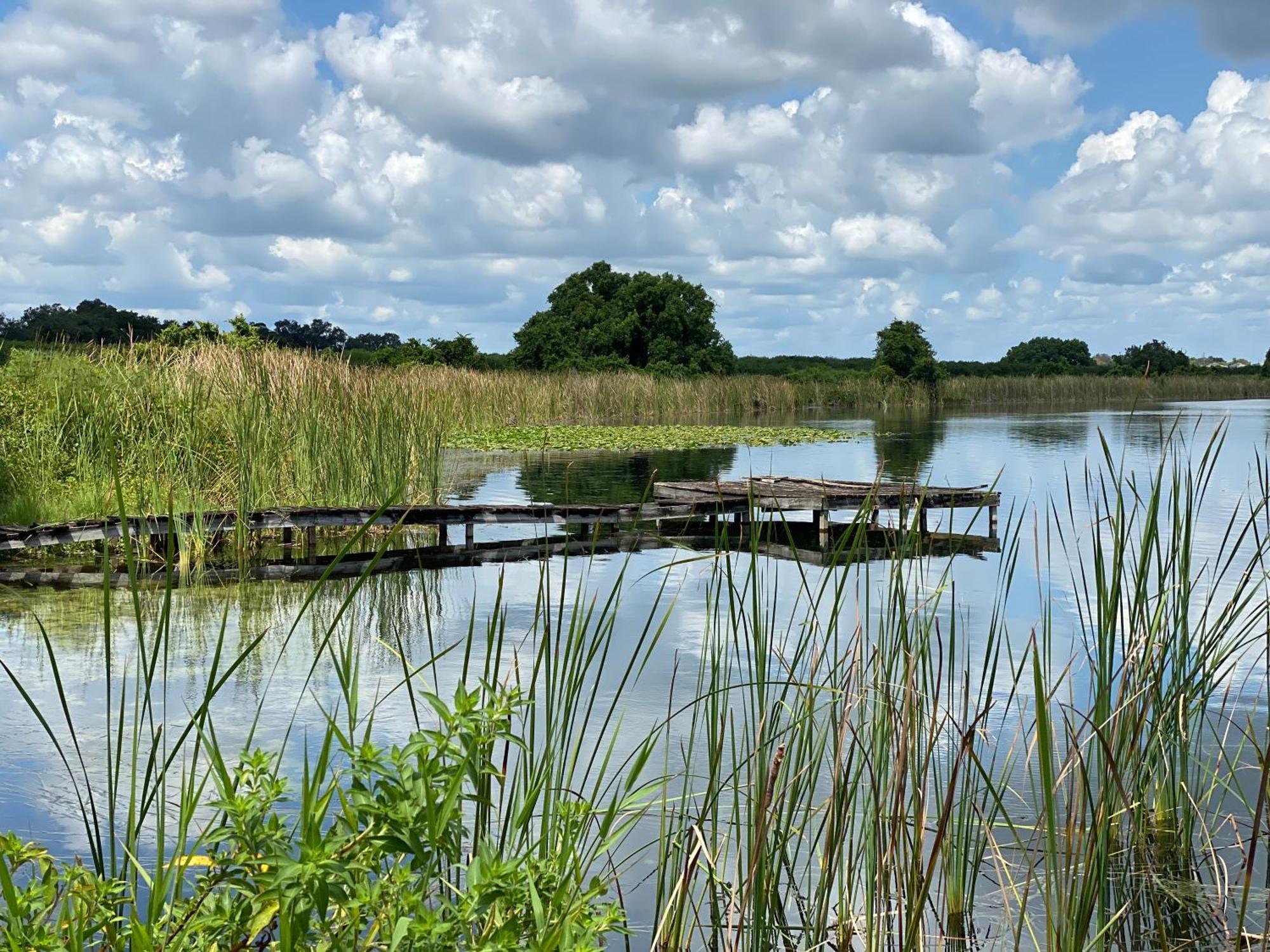 The Scandinavian Contemporary Blauw Lake Alfred Kültér fotó
